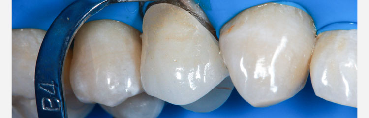 8-copy-web.jpg